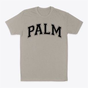 Palm Middle School Varsity Arch Classic Dad T-Shirt