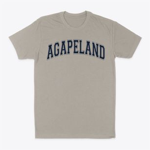 Agapeland Christian Academy Varsity Arch Classic Dad T-Shirt