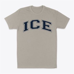 Institute Of Collaborative Education Varsity Arch Classic Dad T-Shirt