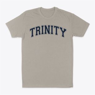 Ps 169 Early Childhood Center Trinity Varsity Arch Classic Dad T-Shirt