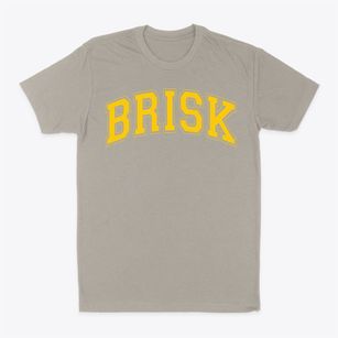 Brisk Academy Yeshivas Brisk Varsity Arch Classic Dad T-Shirt