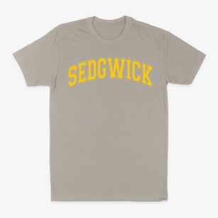 Ps 109 Sedgwick Varsity Arch Classic Dad T-Shirt