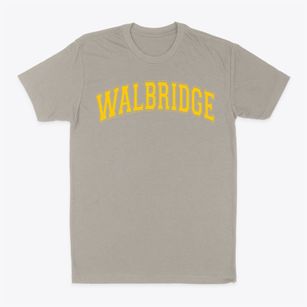 Walbridge Elementary School Varsity Arch Classic Dad T-Shirt