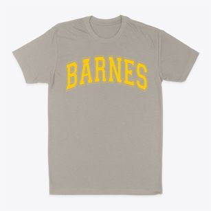 Barnes Elementary School Varsity Arch Classic Dad T-Shirt
