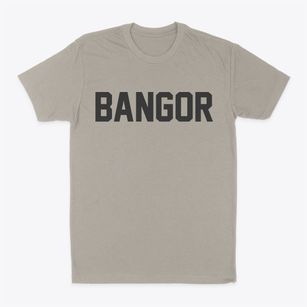 Bangor New York Classic Block Classic Dad T-Shirt