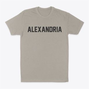 Alexandria Nebraska Classic Block Classic Dad T-Shirt