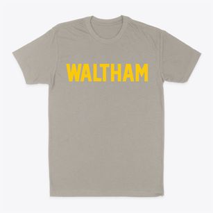 Waltham Minnesota Classic Block Classic Dad T-Shirt