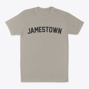 Jamestown New York Classic Curve Classic Dad T-Shirt