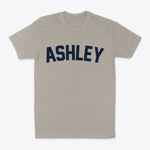 Ashley Illinois Classic Curve Classic Dad T-Shirt