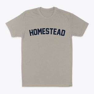 Homestead New Mexico Classic Curve Classic Dad T-Shirt