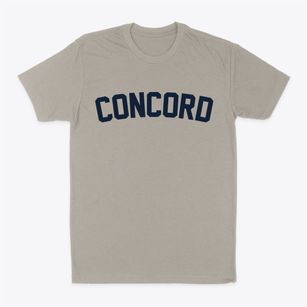 Concord New York Classic Curve Classic Dad T-Shirt