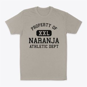 Naranja Florida Athletic Dept Classic Dad T-Shirt