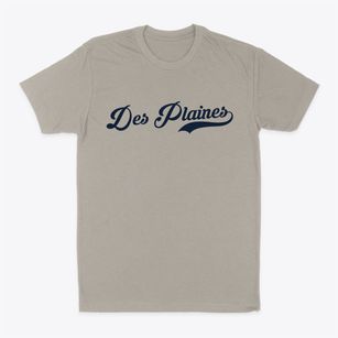 Des Plaines Illinois Vintage Team Classic Dad T-Shirt