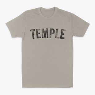 Temple Texas Timeless Retro Classic Dad T-Shirt