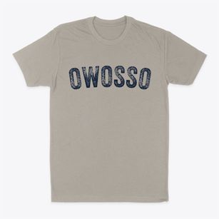 Owosso Michigan Timeless Retro Classic Dad T-Shirt