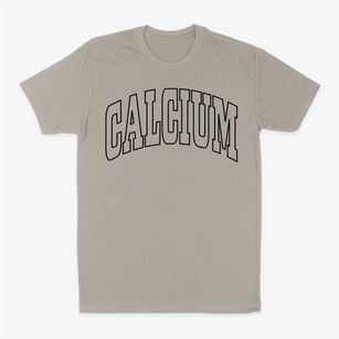 Calcium New York Trendy Block Classic Dad T-Shirt
