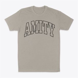 Amity Arkansas Trendy Block Classic Dad T-Shirt