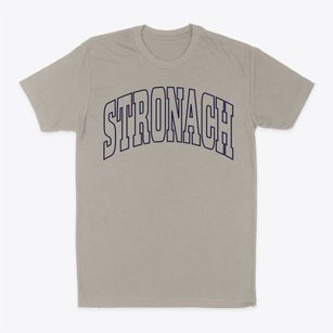 Stronach Michigan Trendy Block Classic Dad T-Shirt