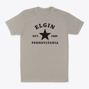 Elgin Pennsylvania Star Classic Dad T-Shirt