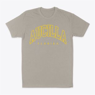Aucilla Florida Inline Classic Dad T-Shirt