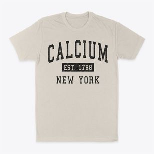 Calcium New York Classic Established Classic Dad T-Shirt