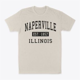 Naperville Illinois Classic Established Classic Dad T-Shirt