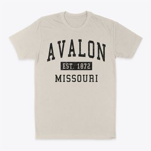 Avalon Missouri Classic Established Classic Dad T-Shirt