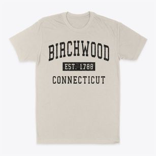 Birchwood Connecticut Classic Established Classic Dad T-Shirt