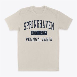 Springhaven Pennsylvania Classic Established Classic Dad T-Shirt