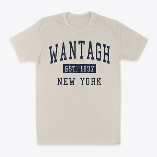 Wantagh New York Classic Established Classic Dad T-Shirt