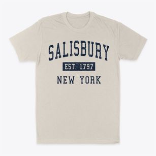 Salisbury New York Classic Established Classic Dad T-Shirt