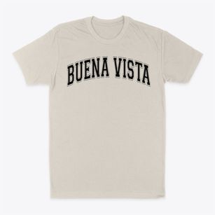 Buena Vista Alternative Elementary Varsity Arch Classic Dad T-Shirt