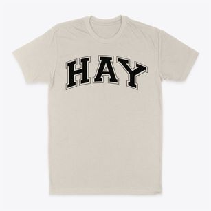 Hay Elementary School Varsity Arch Classic Dad T-Shirt