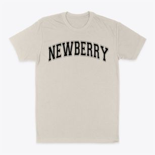Newberry Academy Varsity Arch Classic Dad T-Shirt