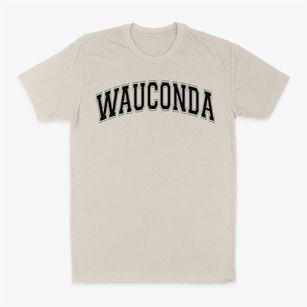 Wauconda Grade School Varsity Arch Classic Dad T-Shirt