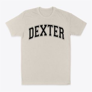 Dexter School Varsity Arch Classic Dad T-Shirt