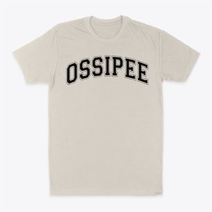 Ossipee Central Elementary School Varsity Arch Classic Dad T-Shirt