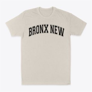 Ps 51 Bronx New School Varsity Arch Classic Dad T-Shirt
