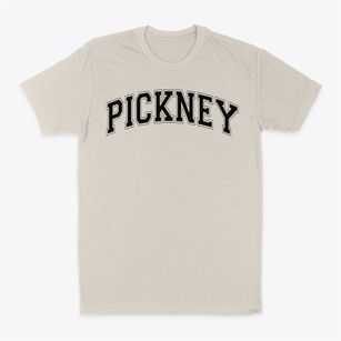 Pickney Academy Varsity Arch Classic Dad T-Shirt