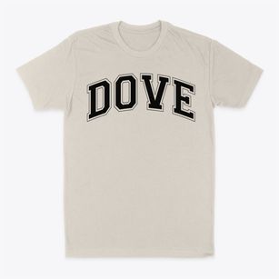 Dove Science Academy Varsity Arch Classic Dad T-Shirt