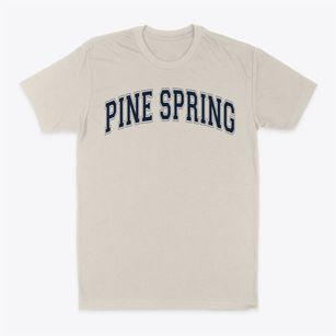 Pine Spring Elementary School Varsity Arch Classic Dad T-Shirt