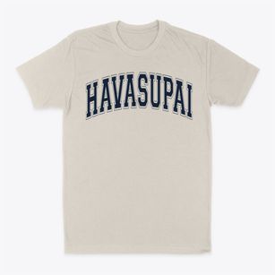 Havasupai Elementary School Varsity Arch Classic Dad T-Shirt
