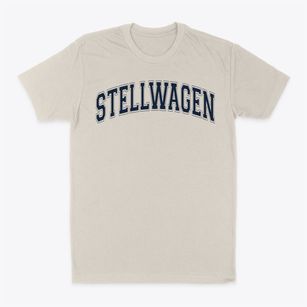 Stellwagen Elementary School Varsity Arch Classic Dad T-Shirt