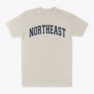 Northeast Christian Varsity Arch Classic Dad T-Shirt