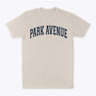 Park Avenue Elementary School Varsity Arch Classic Dad T-Shirt