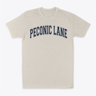 Peconic Lane Primary School Varsity Arch Classic Dad T-Shirt