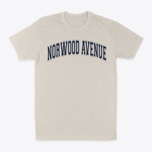 Norwood Avenue Elementary School Varsity Arch Classic Dad T-Shirt