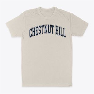 Chestnut Hill Elementary School Varsity Arch Classic Dad T-Shirt