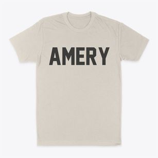 Amery Wisconsin Classic Block Classic Dad T-Shirt