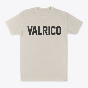 Valrico Florida Classic Block Classic Dad T-Shirt
